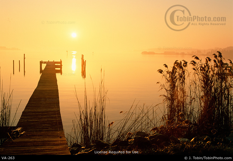 Fishing Picture
